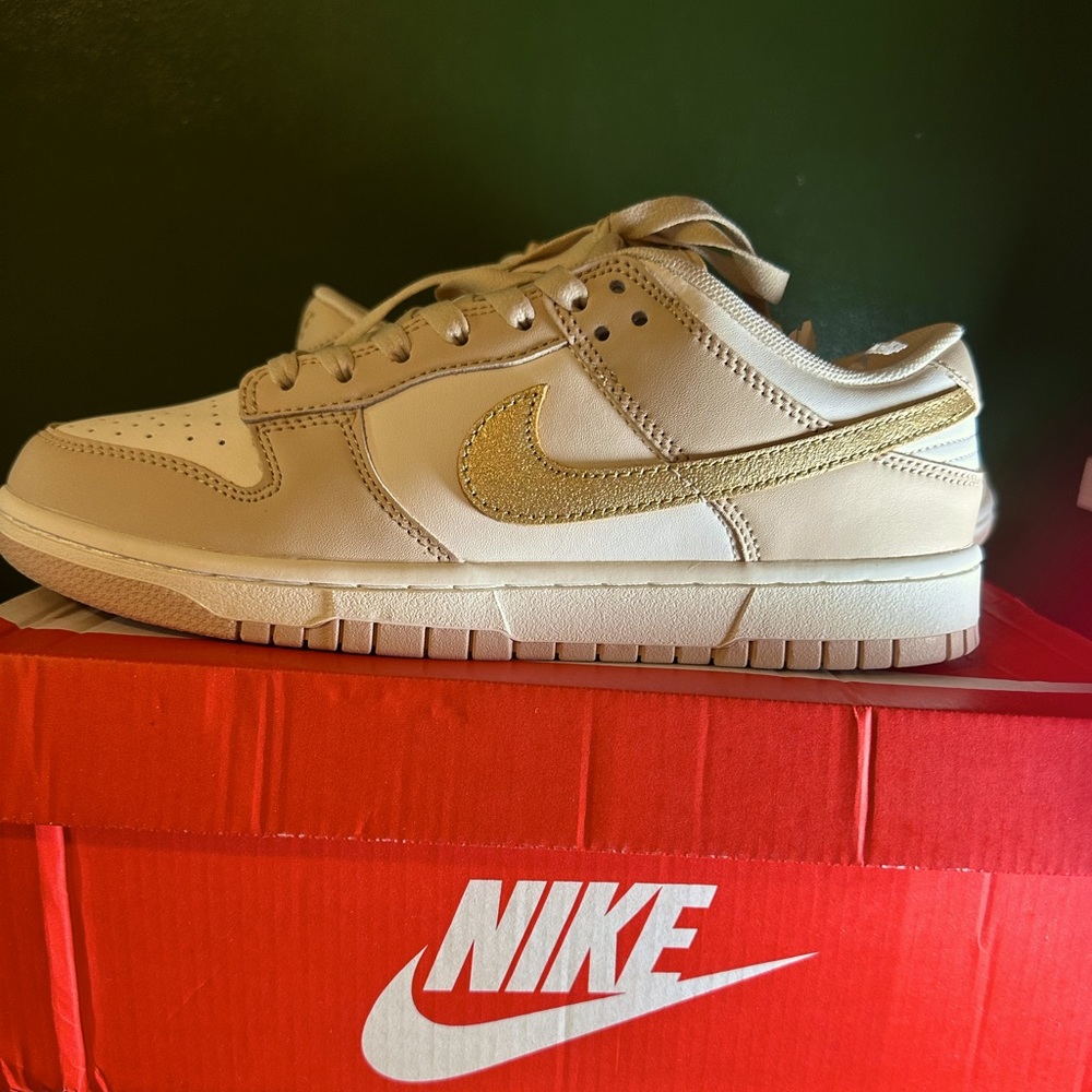 Brand New Nike Dunks